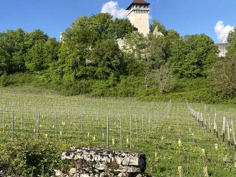 Hiking in Bugey : Le tour de Groslée