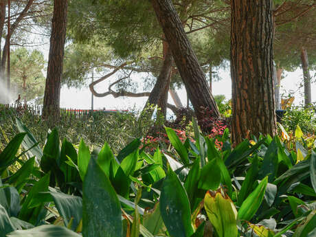 Jardin de la Pinède