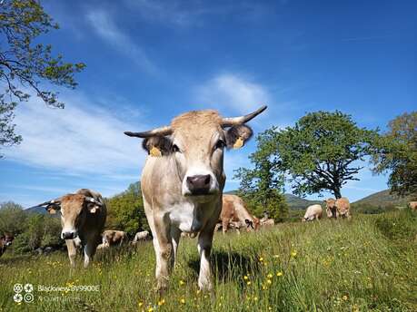 La Ferme des Cormier
