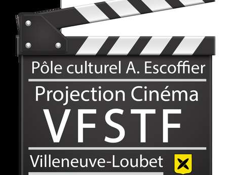 Cinéma " A pieds d'œuvre " en VF sous-titrée