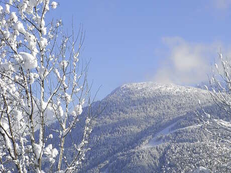 Sortie raquettes "Les grands champs... de Neige"