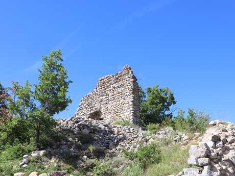 Castle of Arzeliers