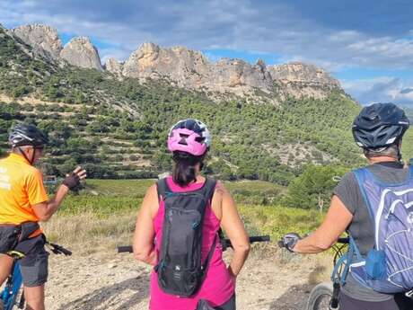 Vélo Vaucluse Découverte : Mini-séjour en vélo électrique entre Dentelles de Montmirail et Mont Ventoux dans le Comtat Venaissin.