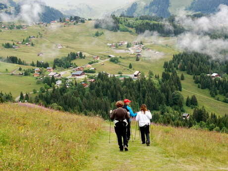 Fitness, Marche nordique