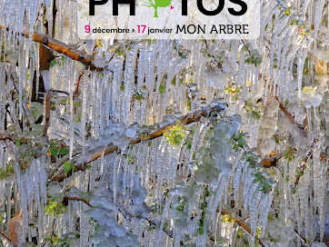 Mon Arbre, exposition de photographies Mon Arbre, exposition de photographies