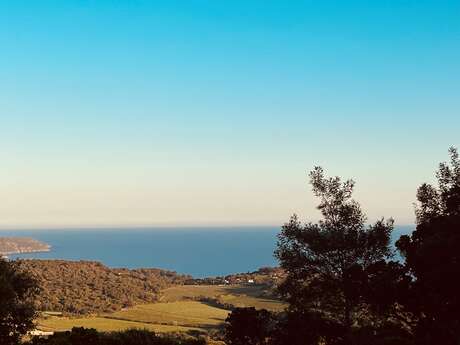 CAMPING PARC DES CHENES