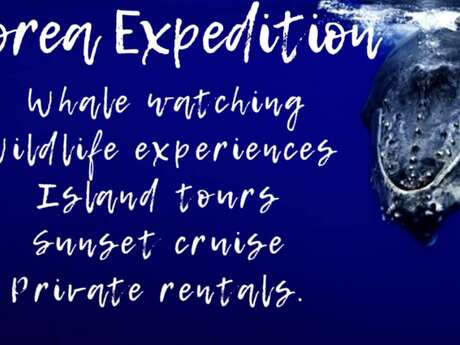 Moorea Expedition - Whale watching tours