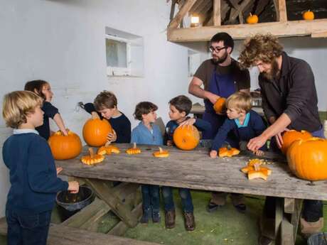 Actividades - Fiesta de la Calabaza en la Granja Abierta de Saint-Denis
