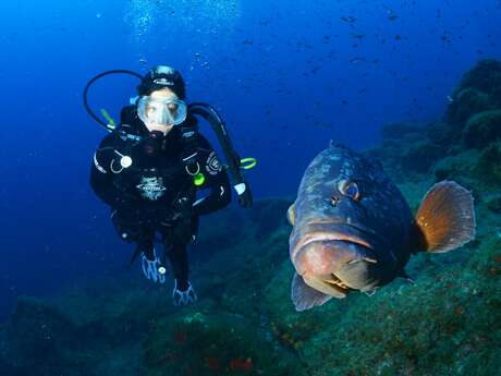 Giens diving cave