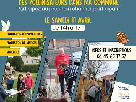 Chantier de plantation participatif