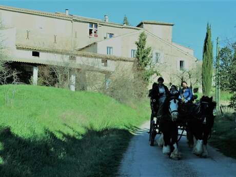 Poney Express Attelage