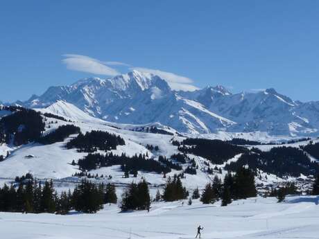Snowshoe outing for families