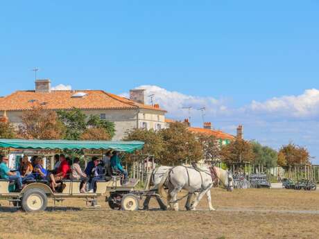 Die Kutschen auf der Île d'Aix