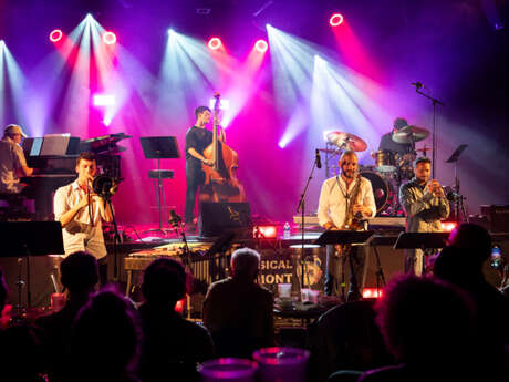 Noches de club en vivo / Jam sessions