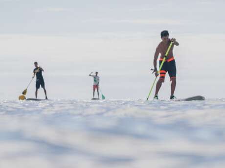 Alquilar un catamarán/sailboard/funboard/kayak/stand up paddle/surf en Ile de Ré Voile - Saint-Martin