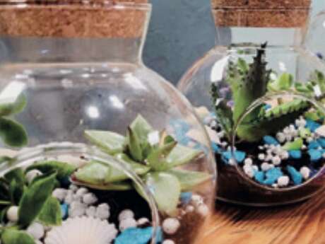 Atelier terrarium