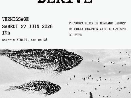 Exposición «Dérive» - Fotografía y pintura