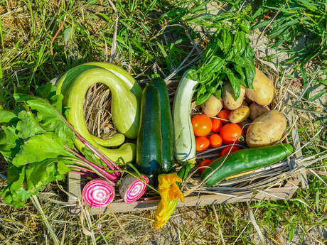 Marché hebdomadaire