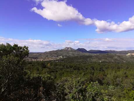 LAMANON - Autour de Calès