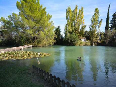 Préco - 49m2 - 4 personnes