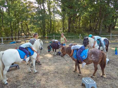 Equitation, médiation équestre et equi-coaching
