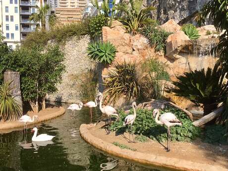 Jardin animalier de Monaco