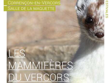 Soirée projection sur les mammifères du Vercors avec un écogarde et un médiateur de la Réserve naturelle - Corrençon