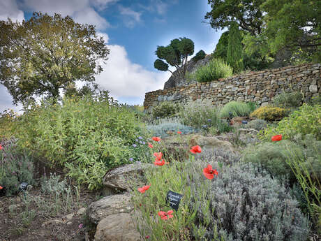 Conférence : Le jardin sec