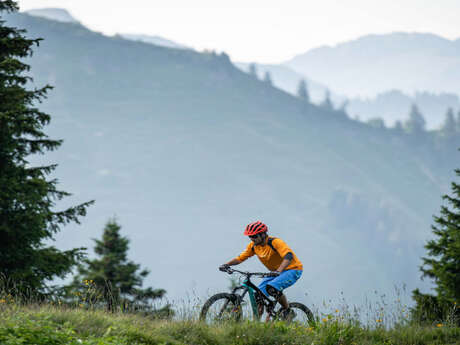 VTT électrique parcours 39 - Abondance