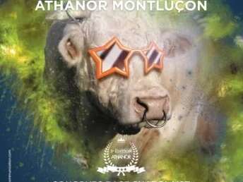Charolais en fête : la journée 100% bourbonnaise