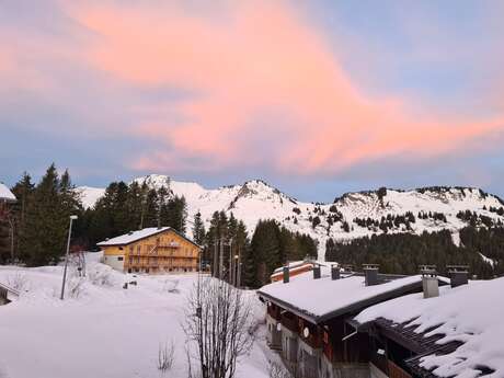 Les Mouflons I - 33m² - n°657