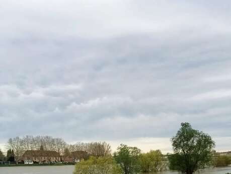 Fête de la nature : qui l'eut crue ?