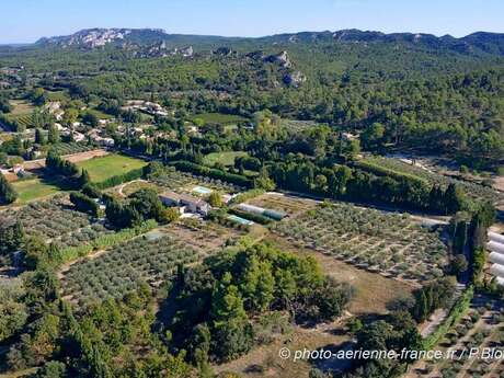 Mas des Figues - La Ferme de Philippe