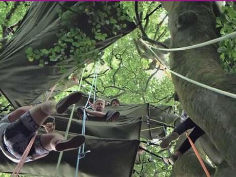 Nuit en bivouac avec l'Arbre voyageur