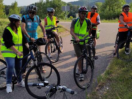 Balades à vélo