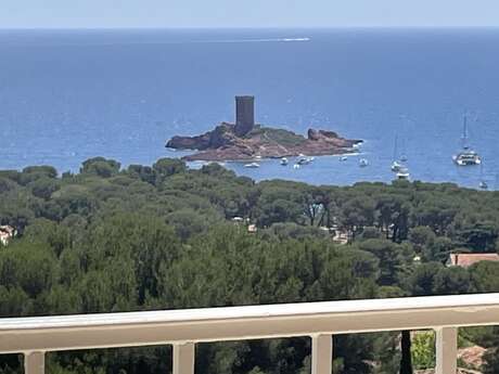 Indivision Occelli Simatovic