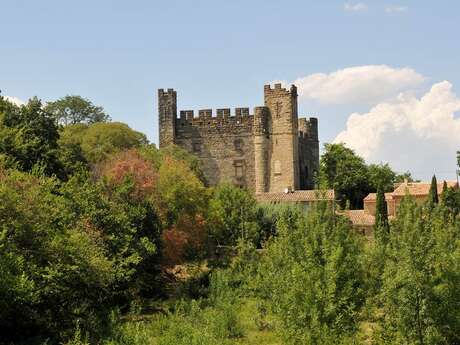 VTT - Entre Terroir et Culture