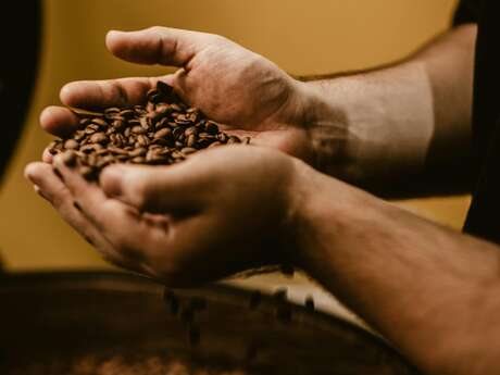 Au cœur de la torréfaction du café