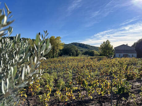 Domaine Croix Rousse