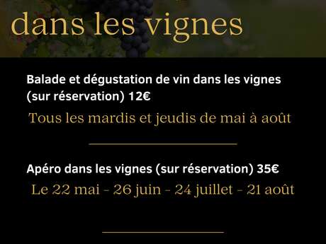 Spaziergang und Weinprobe in den Weinbergen - Domaine Le Clot de Bénou