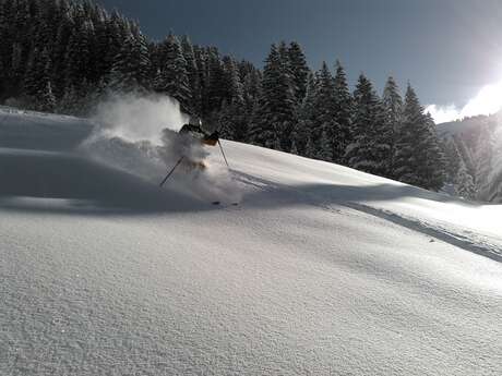 Ski hors piste avec un guide
