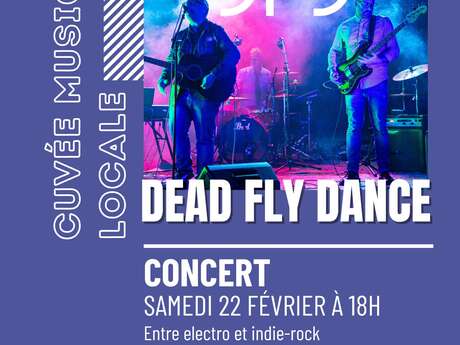 Concert Dead Fly Dance