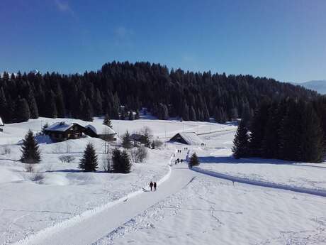 Le Planey - 49 m² - n°810