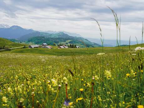 Sentier de randonnée - Le Tour de Miribel depuis Plaine Joux
