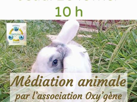 Atelier "Médiation animale"