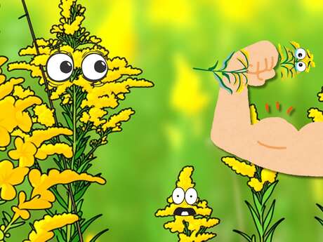 Mardi transpi : bye bye les invasives !