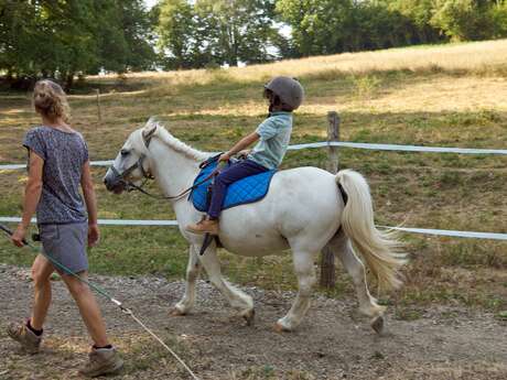 Equitation, médiation équestre et equi-coaching