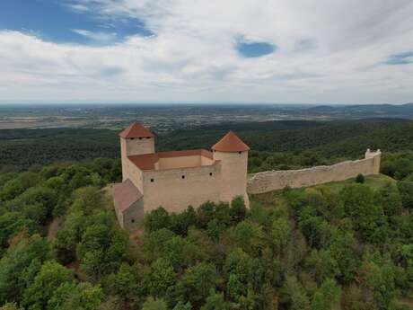 Château des Allymes
