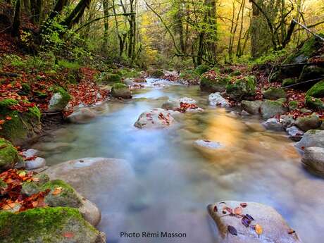A la découverte de la Brive