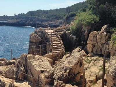 Sentier du littoral au cap d'Antibes (Tirepoil)